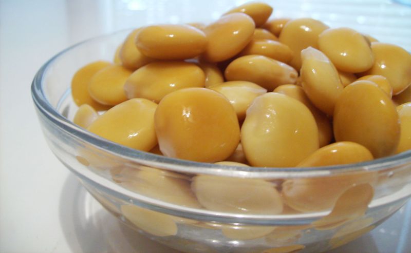 http://www.qassimy.com/up/users/qassimy/picture-of-how-to-make-Lupinus-luteus-recipe.jpg